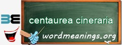 WordMeaning blackboard for centaurea cineraria